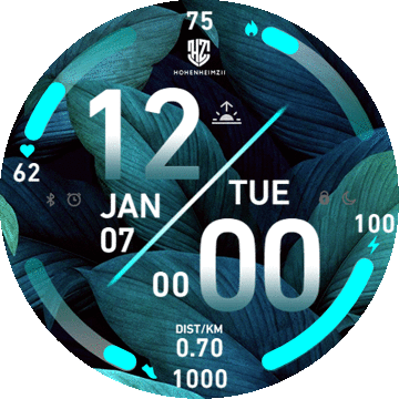 华米跃我Amazfit Verge Lite手表表盘