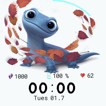 华米跃我Amazfit Verge Lite手表表盘