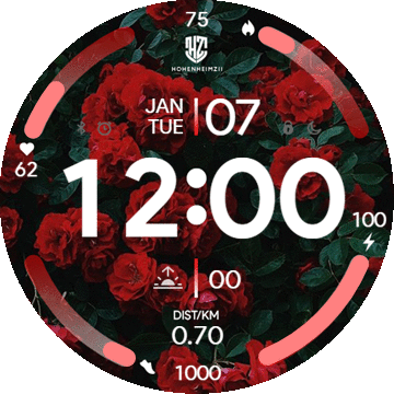 华米跃我Amazfit Verge Lite手表表盘