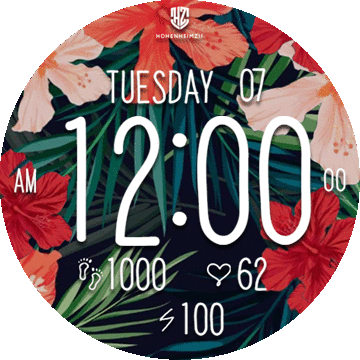 华米跃我Amazfit Verge Lite手表表盘