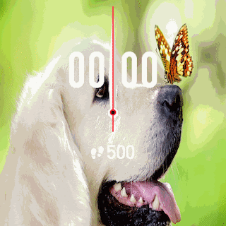 华米跃我Amazfit Verge Lite手表表盘