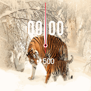 华米跃我Amazfit Verge Lite手表表盘