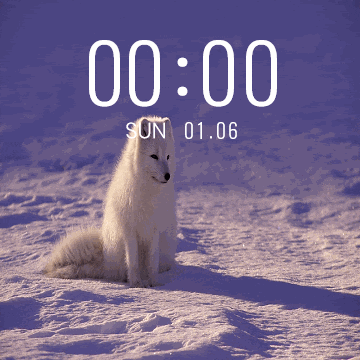 华米跃我Amazfit Verge Lite手表表盘