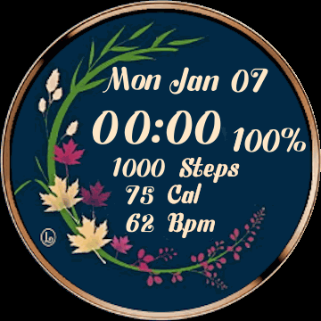 华米跃我Amazfit Verge Lite手表表盘