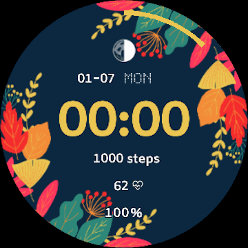 华米跃我Amazfit Verge Lite手表表盘