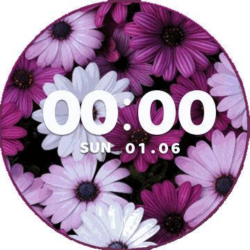 华米跃我Amazfit Verge Lite手表表盘