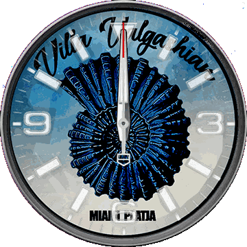 华米跃我Amazfit Verge Lite手表表盘