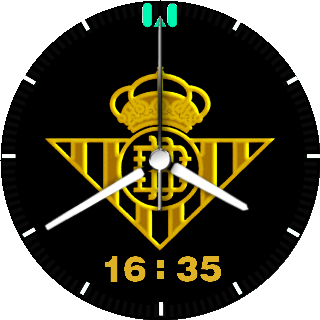 华米跃我Amazfit Pace, Stratos手表表盘