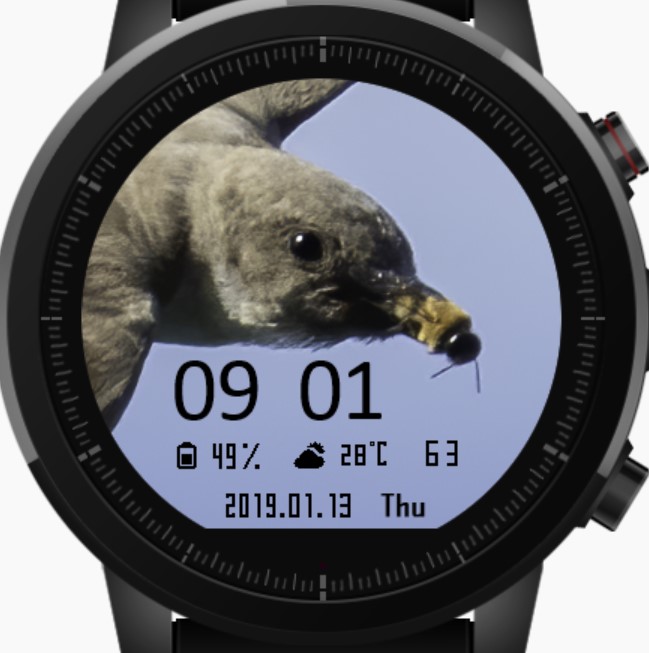 华米跃我Amazfit Pace, Stratos手表表盘