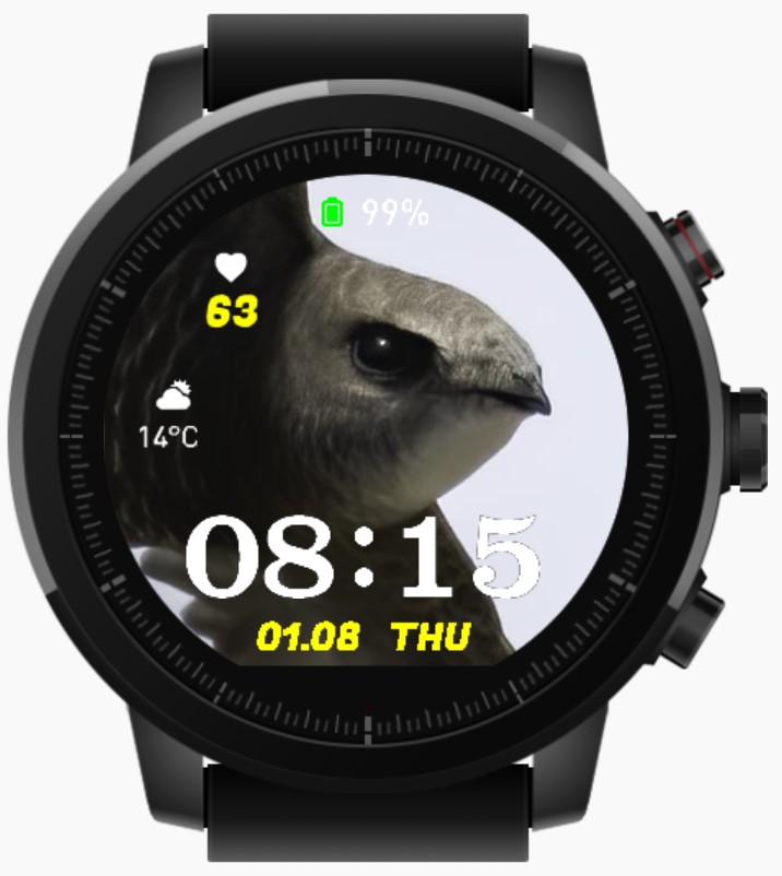华米跃我Amazfit Pace, Stratos手表表盘