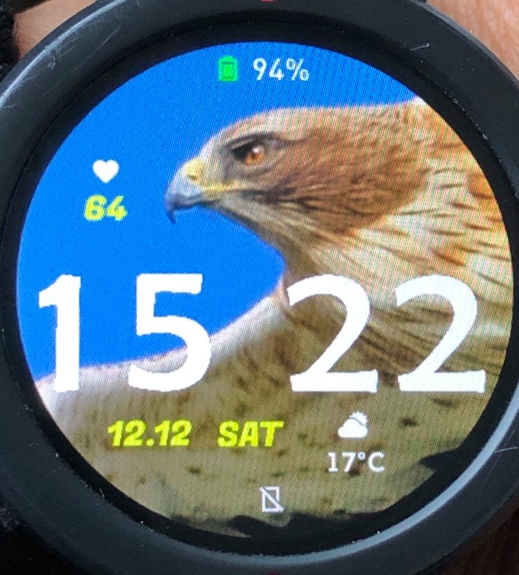 华米跃我Amazfit Pace, Stratos手表表盘