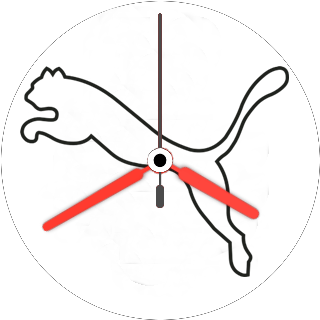 华米跃我Amazfit Pace, Stratos, Stratos 3手表表盘