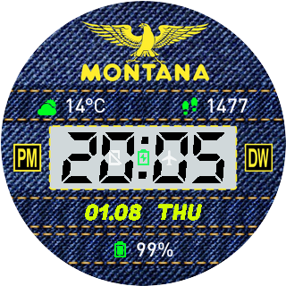 华米跃我Amazfit Pace, Stratos, Stratos 3手表表盘