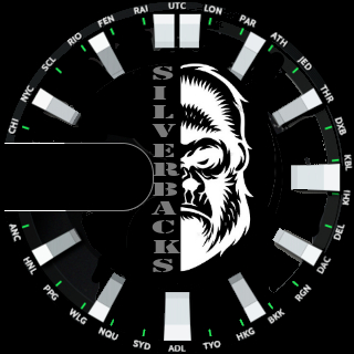 华米跃我Amazfit Pace手表表盘