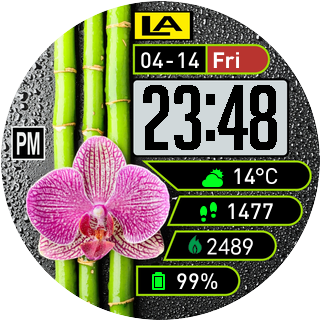 华米跃我Amazfit Pace, Stratos手表表盘