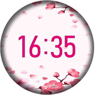 华米跃我Amazfit Pace, Stratos手表表盘