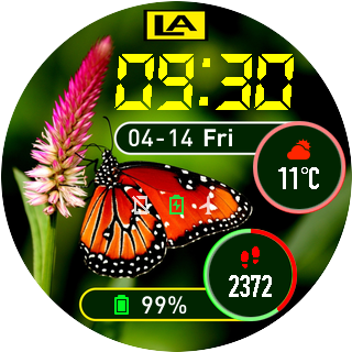 华米跃我Amazfit Pace, Stratos手表表盘