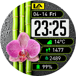 华米跃我Amazfit Pace, Stratos手表表盘