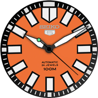 华米跃我Amazfit Pace, Stratos手表表盘