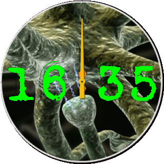 华米跃我Amazfit Pace, Stratos手表表盘