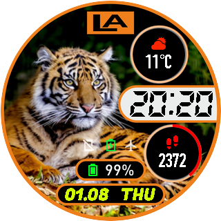 华米跃我Amazfit Pace, Stratos手表表盘