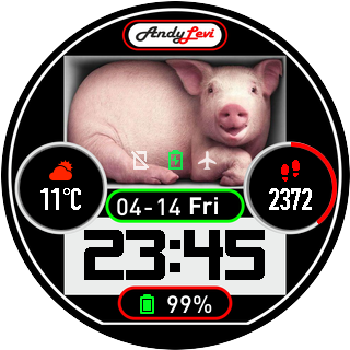 华米跃我Amazfit Pace, Stratos手表表盘