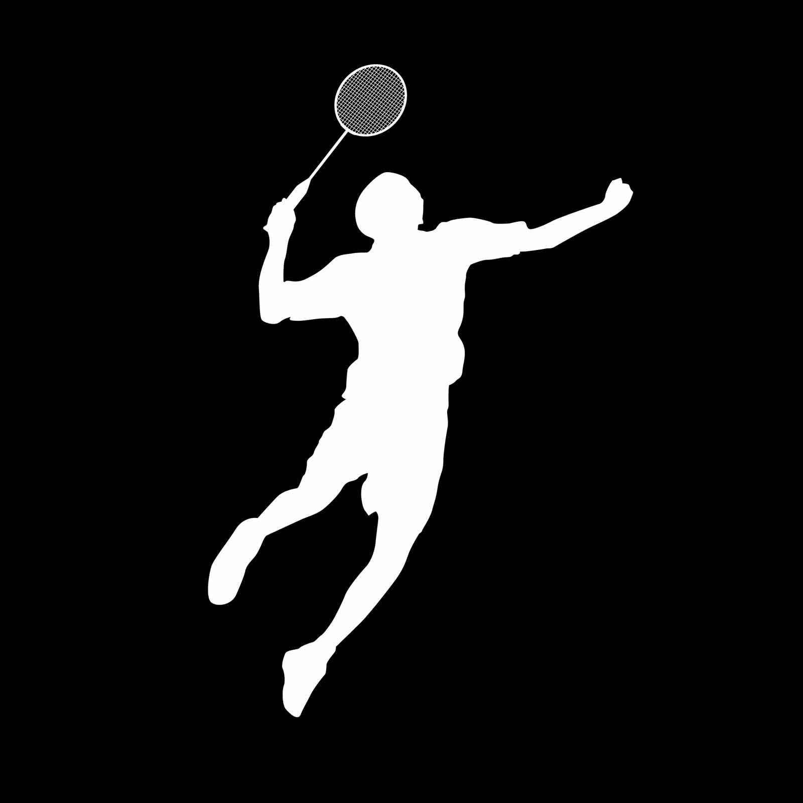 华米跃我Amazfit Pace, Stratos手表表盘