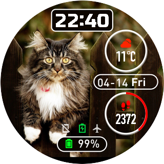 华米跃我Amazfit Pace, Stratos手表表盘