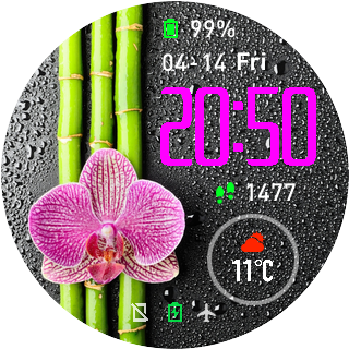 华米跃我Amazfit Pace, Stratos手表表盘