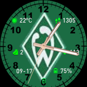 华米跃我Amazfit Pace, Stratos手表表盘