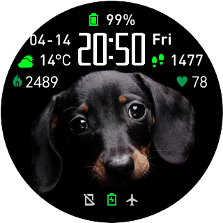 华米跃我Amazfit Pace, Stratos手表表盘