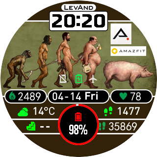 华米跃我Amazfit Pace, Stratos手表表盘
