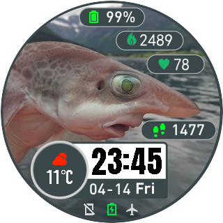 华米跃我Amazfit Pace, Stratos手表表盘