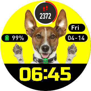 华米跃我Amazfit Pace, Stratos手表表盘