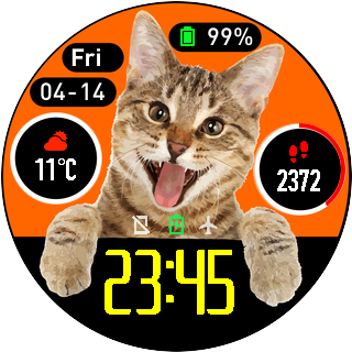 华米跃我Amazfit Pace, Stratos手表表盘