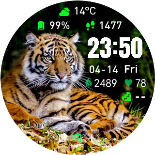 华米跃我Amazfit Pace, Stratos手表表盘