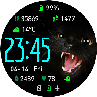 华米跃我Amazfit Pace, Stratos手表表盘