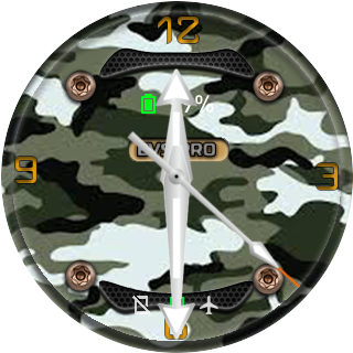 华米跃我Amazfit Pace, Stratos手表表盘