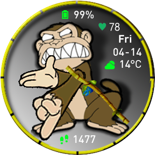 华米跃我Amazfit Pace, Stratos手表表盘