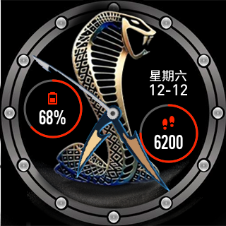 华米跃我Amazfit Pace, Stratos手表表盘