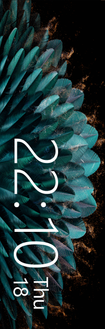 华米跃我Amazfit X 手表表盘