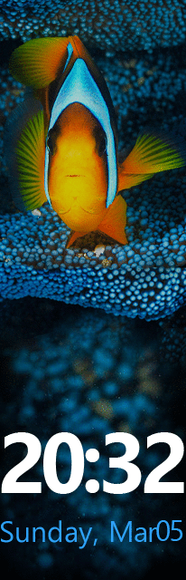 华米跃我Amazfit X 手表表盘