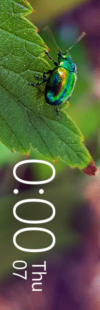 华米跃我Amazfit X 手表表盘