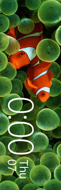 华米跃我Amazfit X 手表表盘