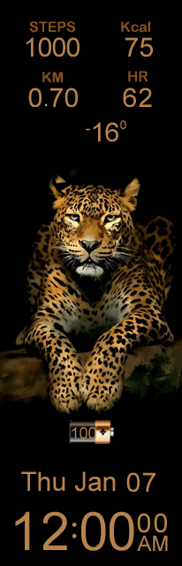 华米跃我Amazfit X 手表表盘