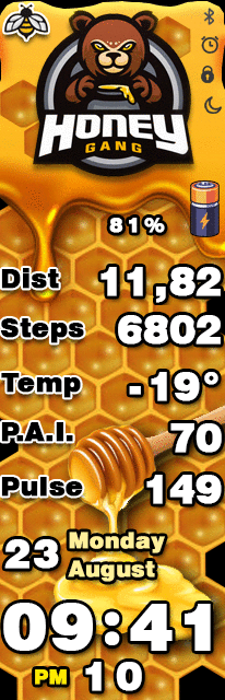 华米跃我Amazfit X 手表表盘