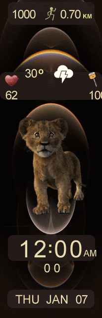 华米跃我Amazfit X 手表表盘