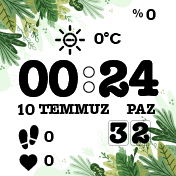 华米跃我Amazfit Bip手表表盘
