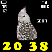 华米跃我Amazfit Bip手表表盘