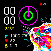 华米跃我Amazfit Bip手表表盘